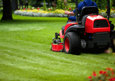 care for lawn