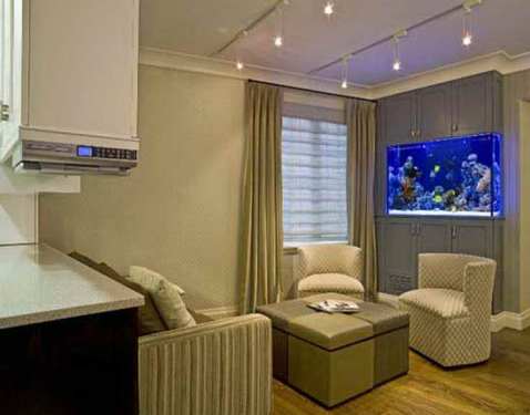 fish tank ideas