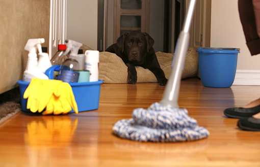 eco friendly house cleaning