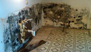 mold removal