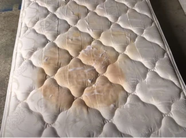 Brown Stains on Mattresses