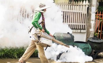 Mosquito Control Service
